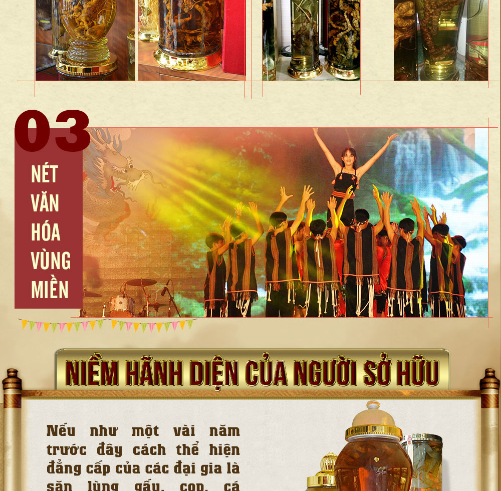 Hình ảnh sâm Ngọc Linh và Phân biệt sâm Thật giả Hình ảnh sâm Ngọc Linh và Phân biệt sâm Thật giả