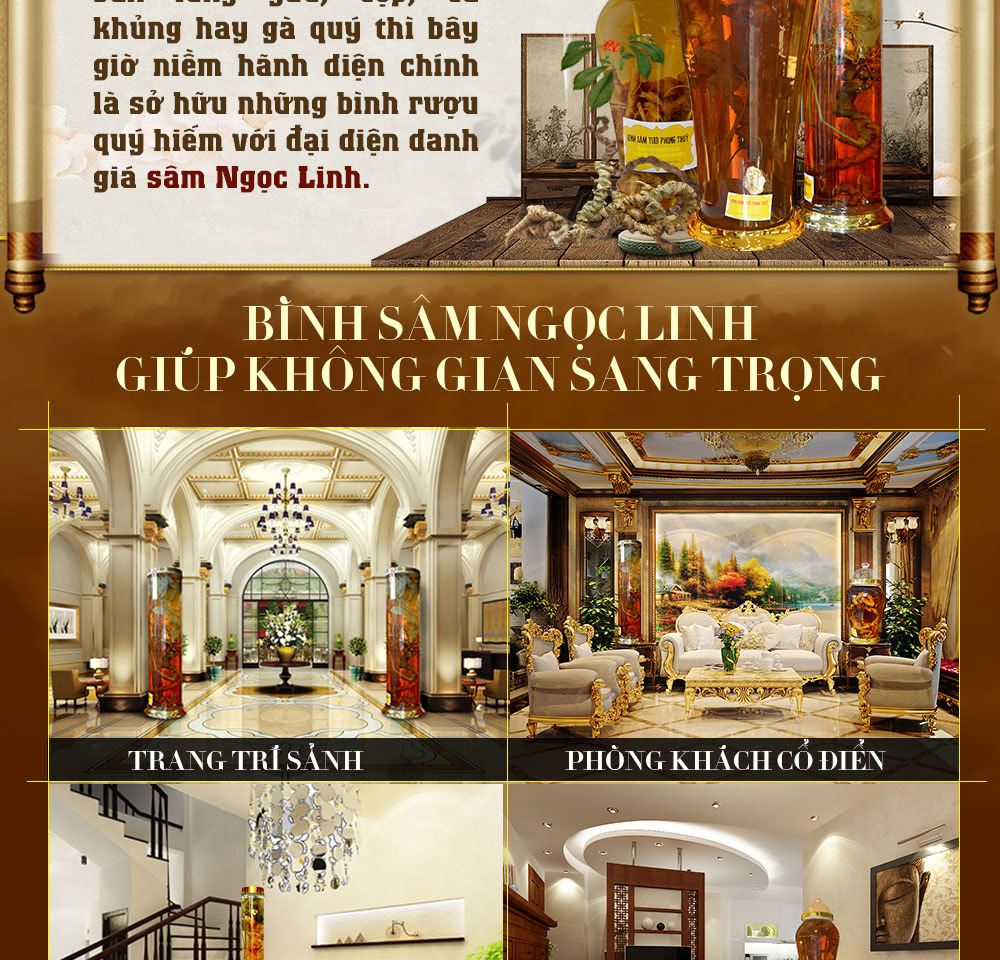 Hình ảnh sâm Ngọc Linh và Phân biệt sâm Thật giả Hình ảnh sâm Ngọc Linh và Phân biệt sâm Thật giả
