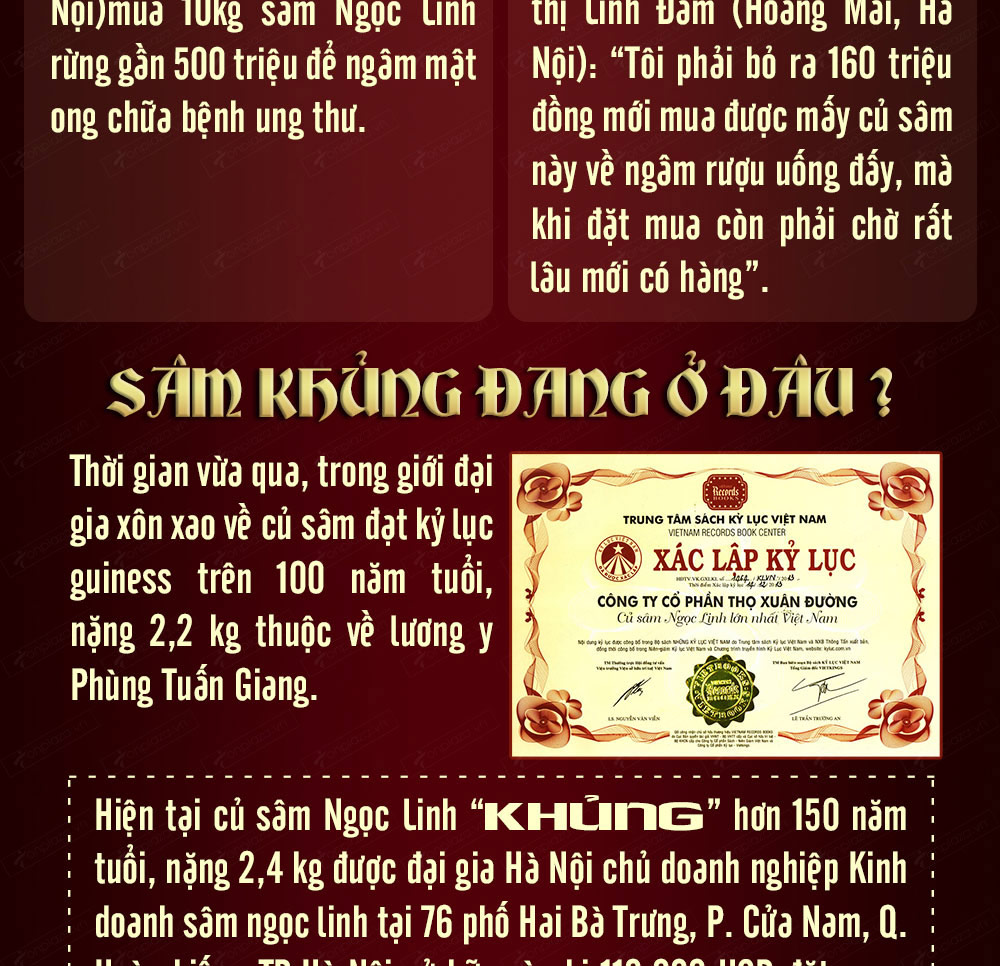 Hình ảnh sâm Ngọc Linh và Phân biệt sâm Thật giả Hình ảnh sâm Ngọc Linh và Phân biệt sâm Thật giả