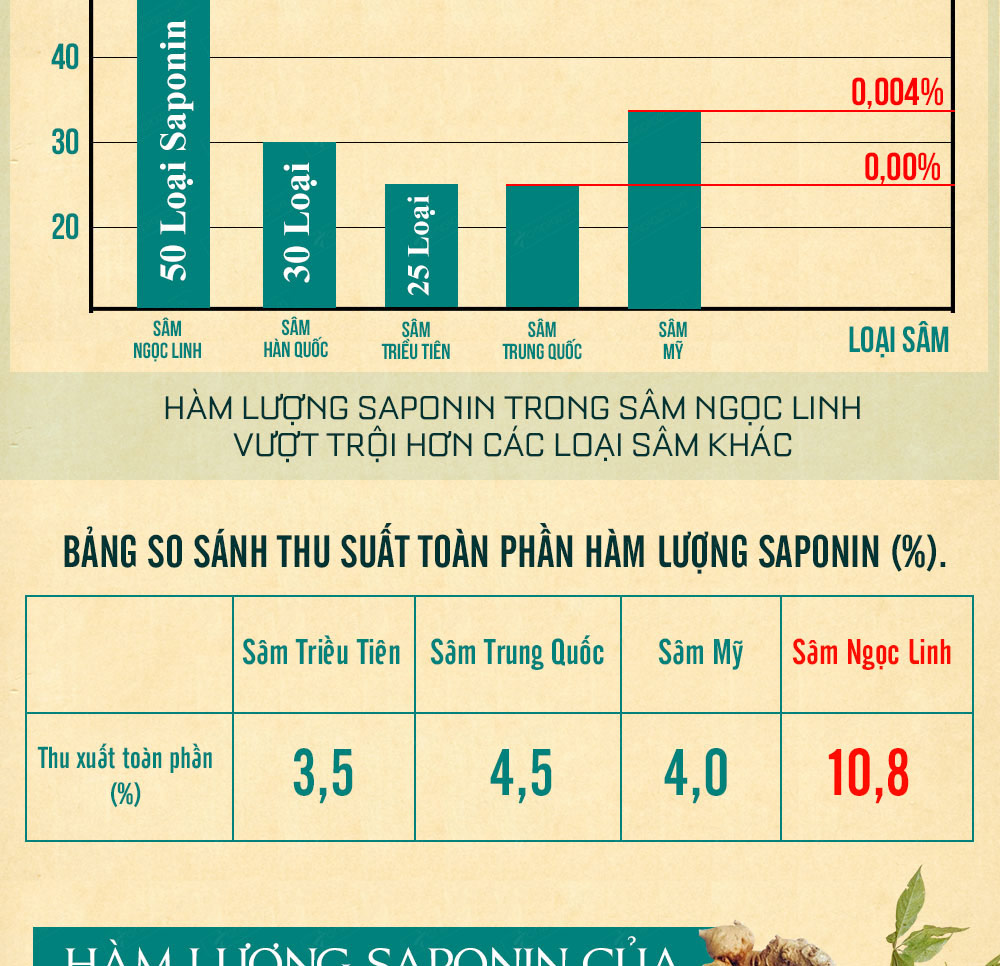 Hình ảnh sâm Ngọc Linh và Phân biệt sâm Thật giả Hình ảnh sâm Ngọc Linh và Phân biệt sâm Thật giả