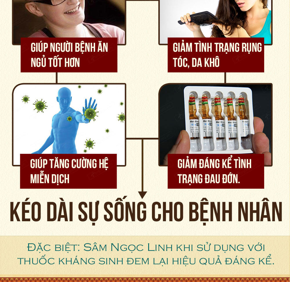 Hình ảnh sâm Ngọc Linh và Phân biệt sâm Thật giả Hình ảnh sâm Ngọc Linh và Phân biệt sâm Thật giả