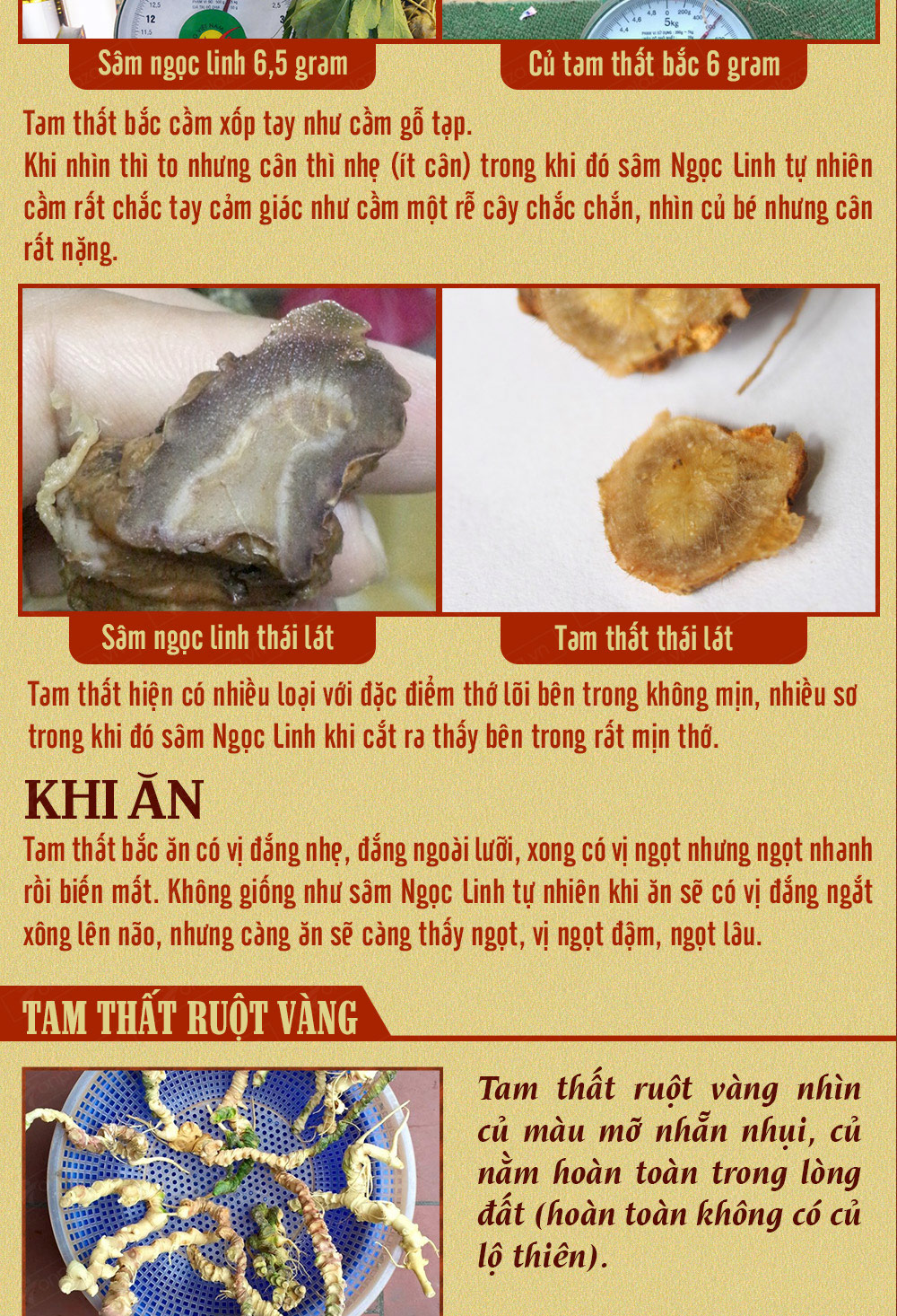 Hình ảnh sâm Ngọc Linh và Phân biệt sâm Thật giả Hình ảnh sâm Ngọc Linh và Phân biệt sâm Thật giả