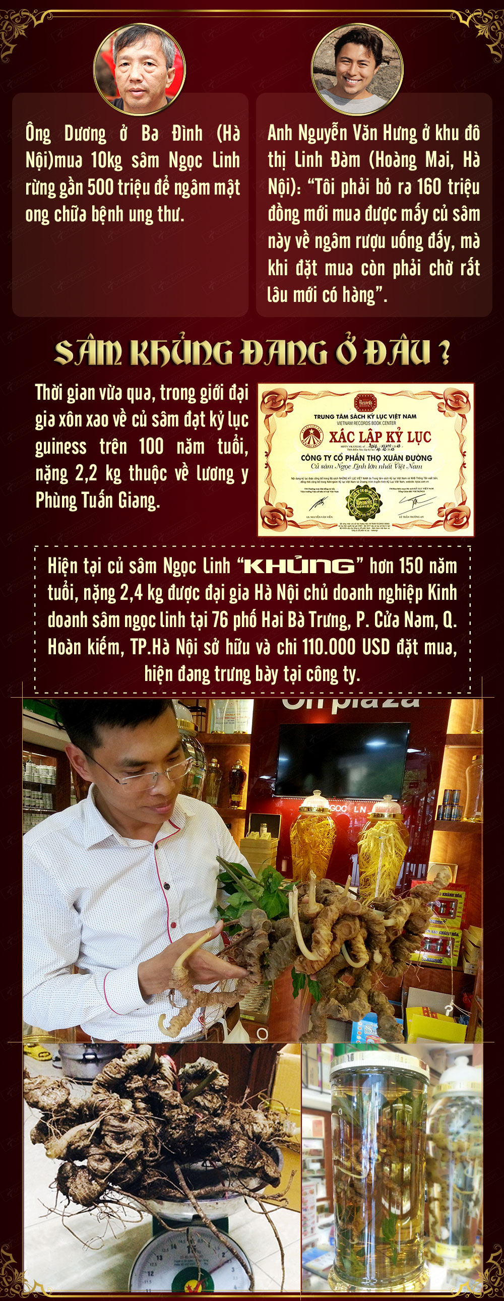 nhân sâm núi ngọc linh