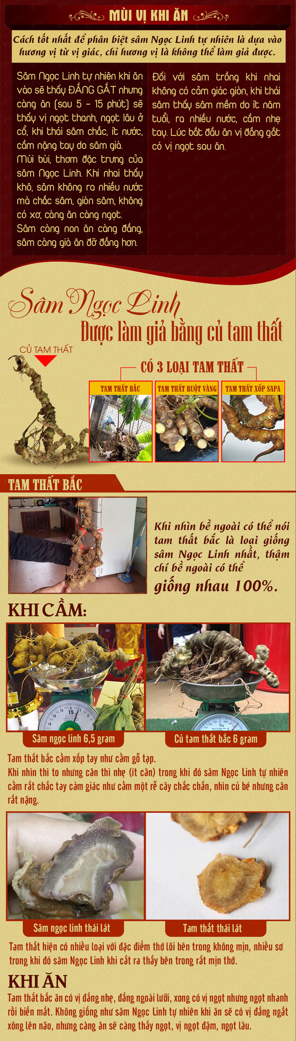 nhân sâm núi ngọc linh