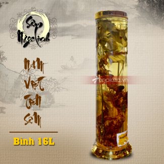 Bình ngâm sâm Ngọc Linh dung tích 20L (2.7kg) NS308