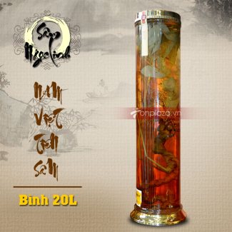 Bình ngâm sâm Ngọc Linh tươi loại lớn 20L NS327