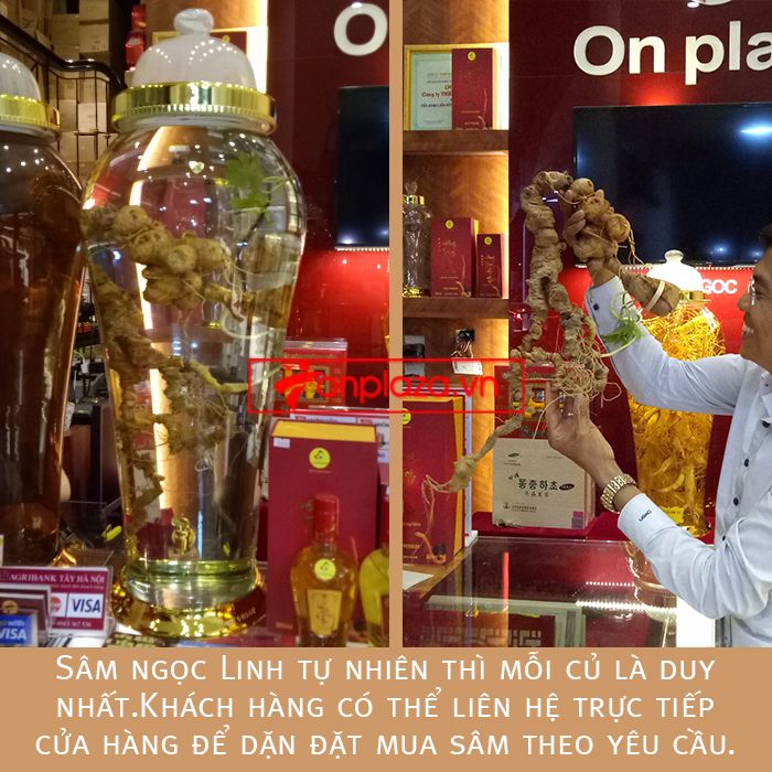 Bình ngâm sâm Ngọc Linh tươi phong thủy loại 2kg/củ 3