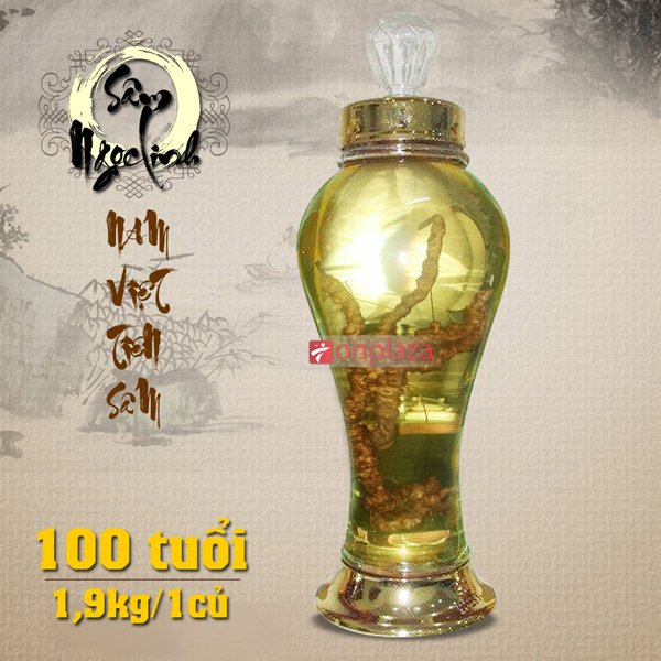 Bình  sâm 100 năm tuổi ( loại 2,1kg/ 1 củ sâm) NS189