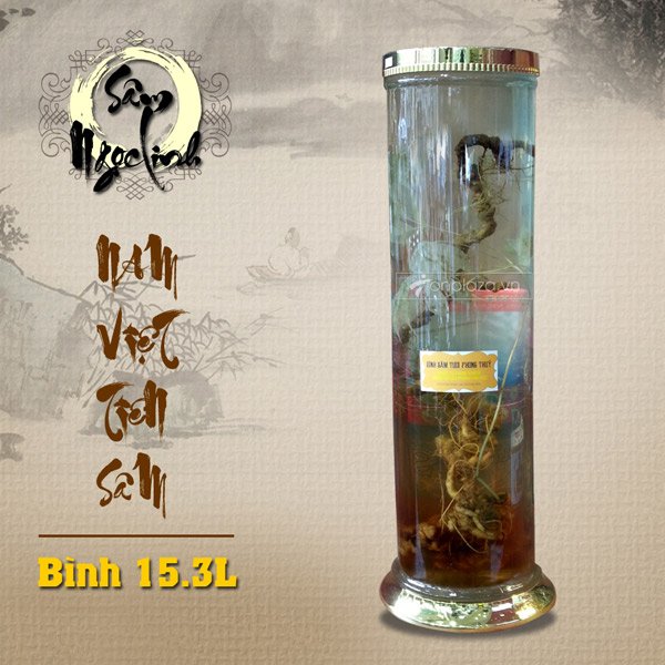 Bình sâm ngọc linh KG18 15.3L NS231