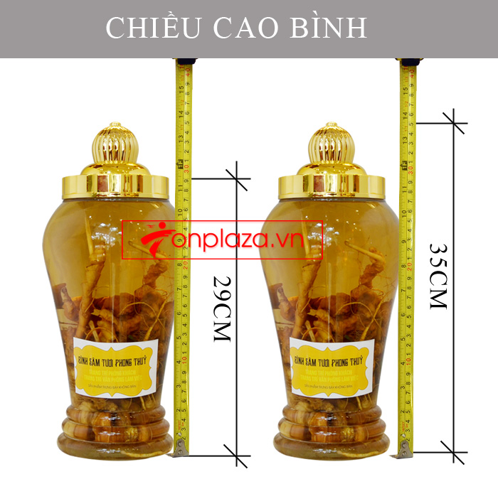 Bình sâm Ngọc Linh tươi củ nhỏ loại 3.5L NS394 5