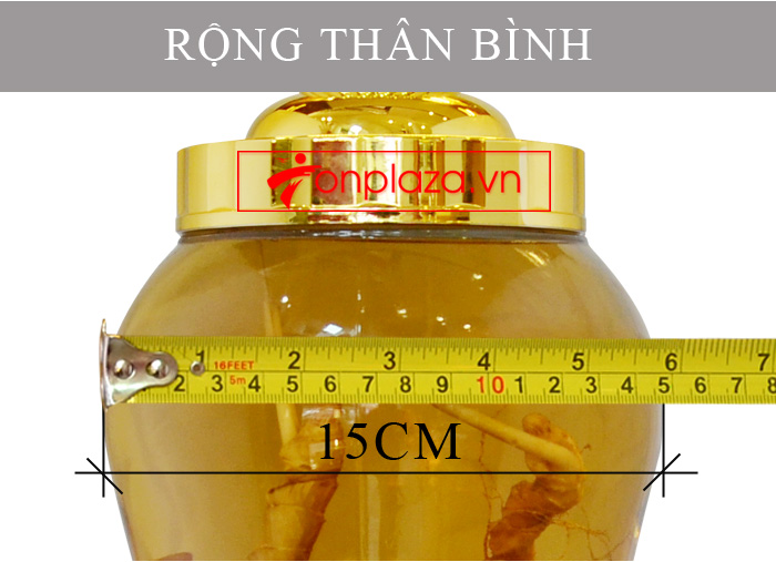 Bình sâm Ngọc Linh tươi củ nhỏ loại 3.5L NS394 6