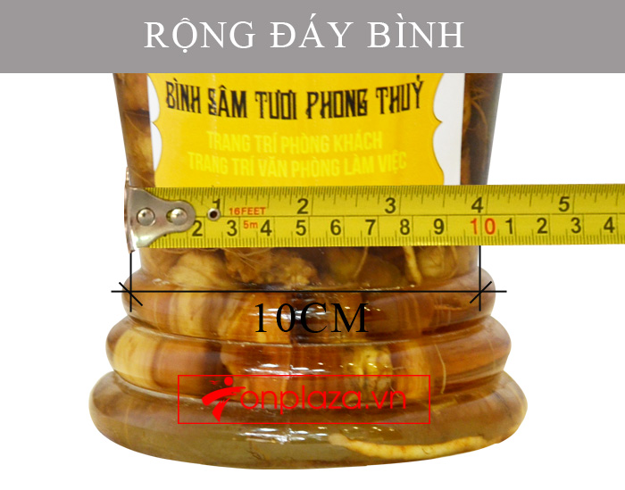 Bình sâm Ngọc Linh tươi củ nhỏ loại 3.5L NS394 7