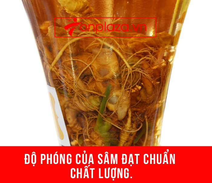 Bình sâm Ngọc Linh tươi củ nhỏ loại 3.5L NS394 8