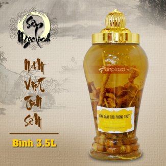 Bình sâm Ngọc Linh tươi củ nhỏ loại 3.5L NS394