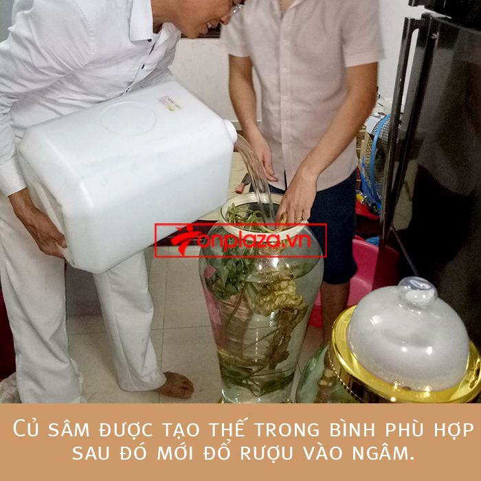 Một số hình ảnh chi tiết của sản phẩm Bình sâm Ngọc Linh tươi tự nhiên ngâm loại 1.9kg/củ 4