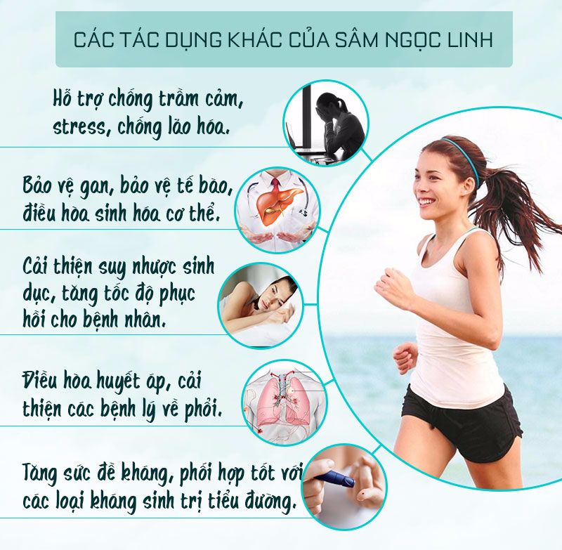 Các tác dụng khách cho người sử dụng sâm Ngọc Linh