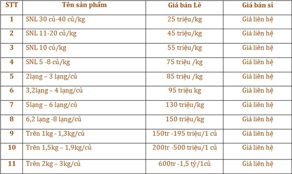 TÌM ĐẠI LÝ BÁN BUÔN SÂM NGỌC LINH  1