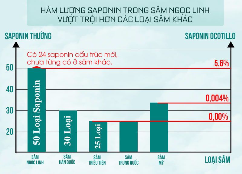 Hàm lượng saponin trong sâm Ngọc Linh vượt trội hơn các loại sâm khác