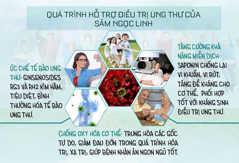 Quá trình hỗ trợ điều trị ung thư của Sâm Ngọc Linh