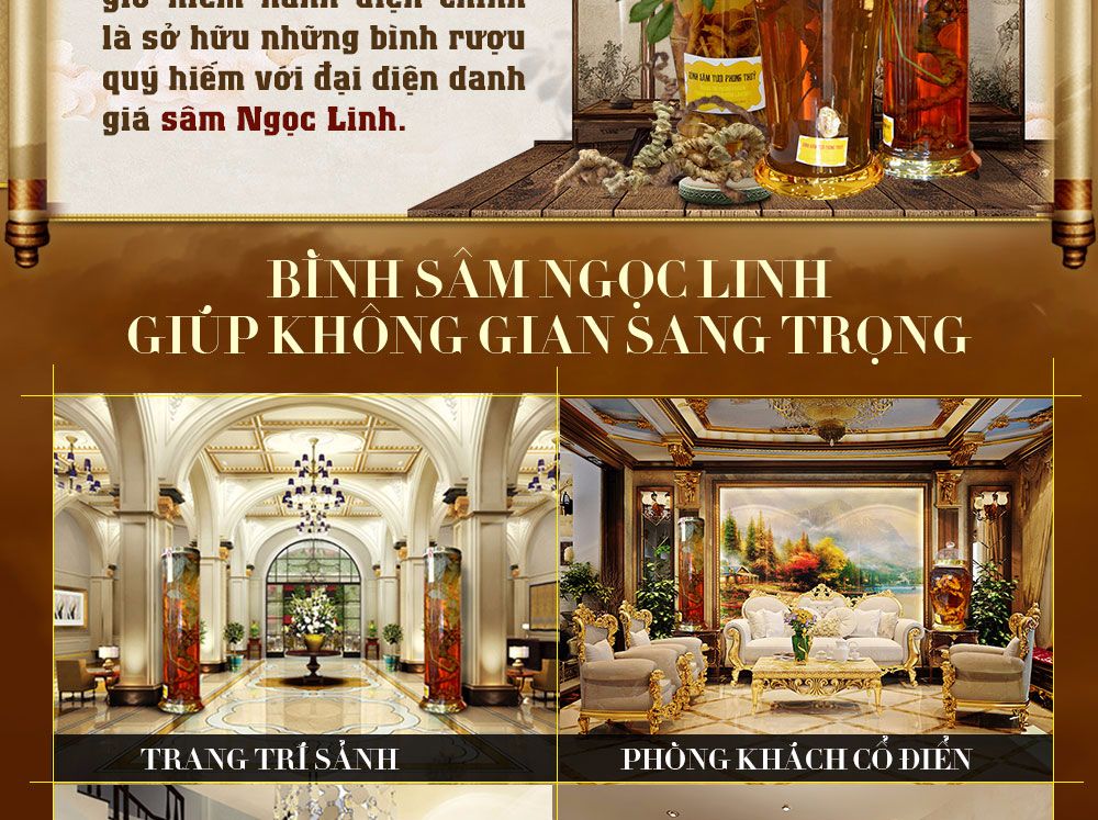 Sâm ngọc linh núi chính hãng - thiên nhiên