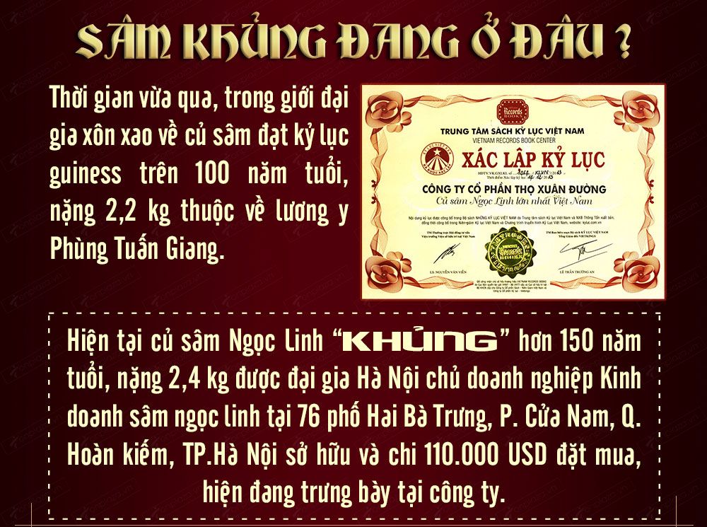 Sâm ngọc linh núi chính hãng - thiên nhiên