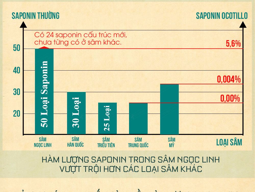 Sâm ngọc linh núi chính hãng - thiên nhiên