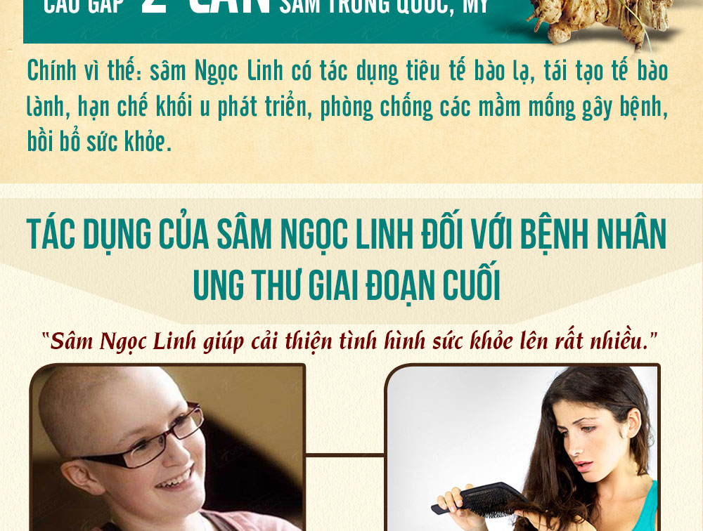 Sâm ngọc linh núi chính hãng - thiên nhiên