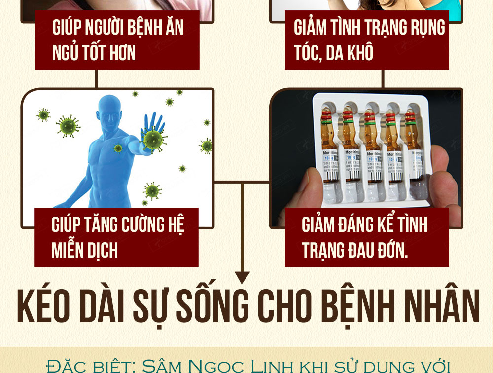 Sâm ngọc linh núi chính hãng - thiên nhiên