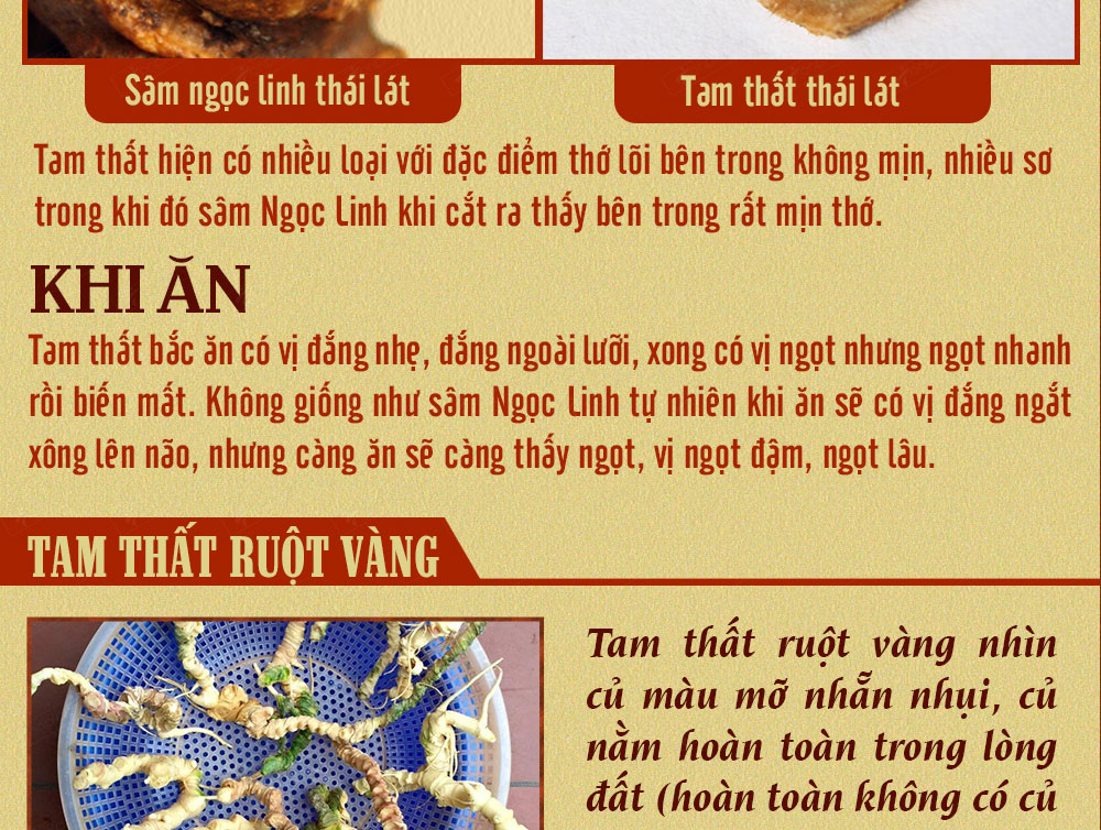 Sâm ngọc linh núi chính hãng - thiên nhiên