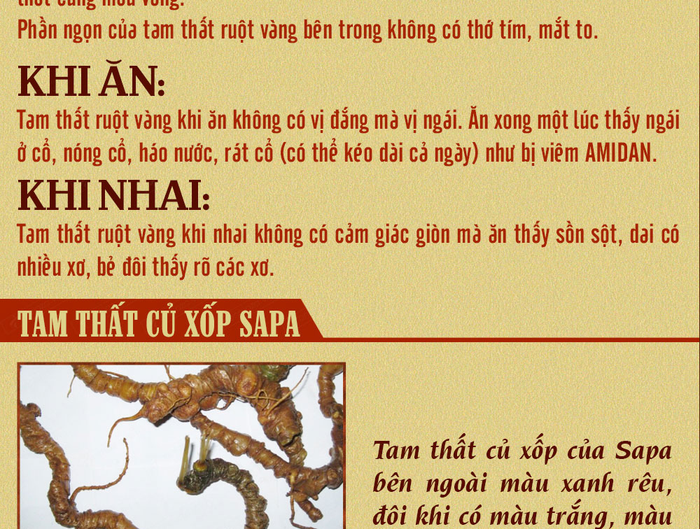 Sâm ngọc linh núi chính hãng - thiên nhiên