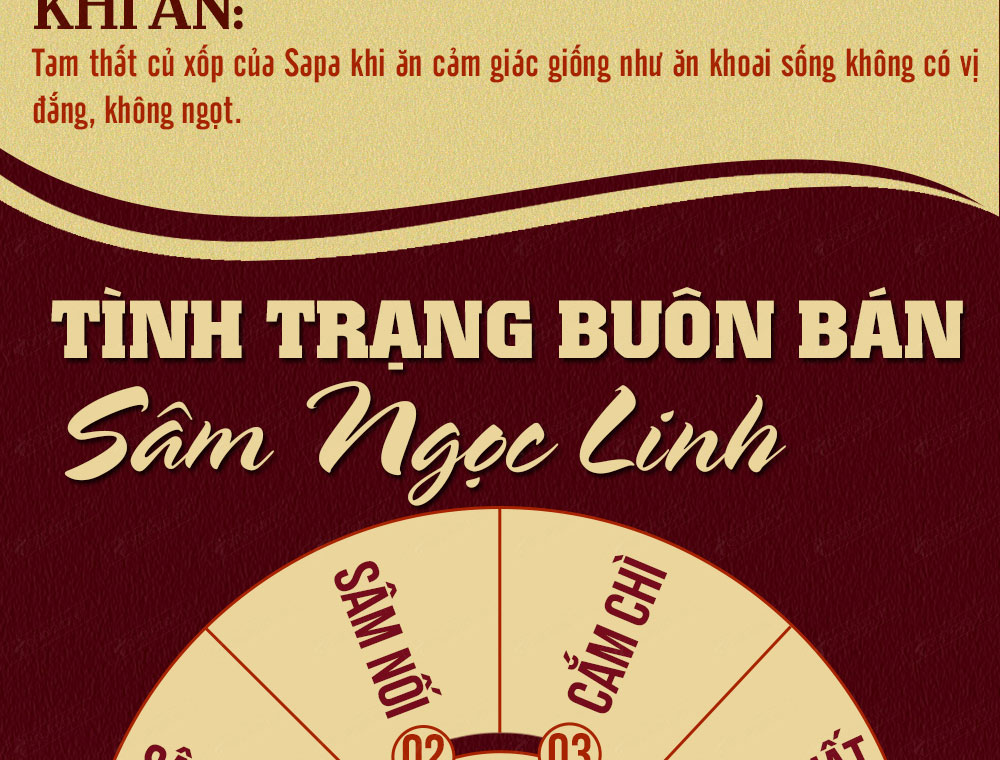 Sâm ngọc linh núi chính hãng - thiên nhiên