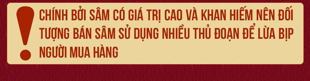 Sâm ngọc linh núi chính hãng - thiên nhiên