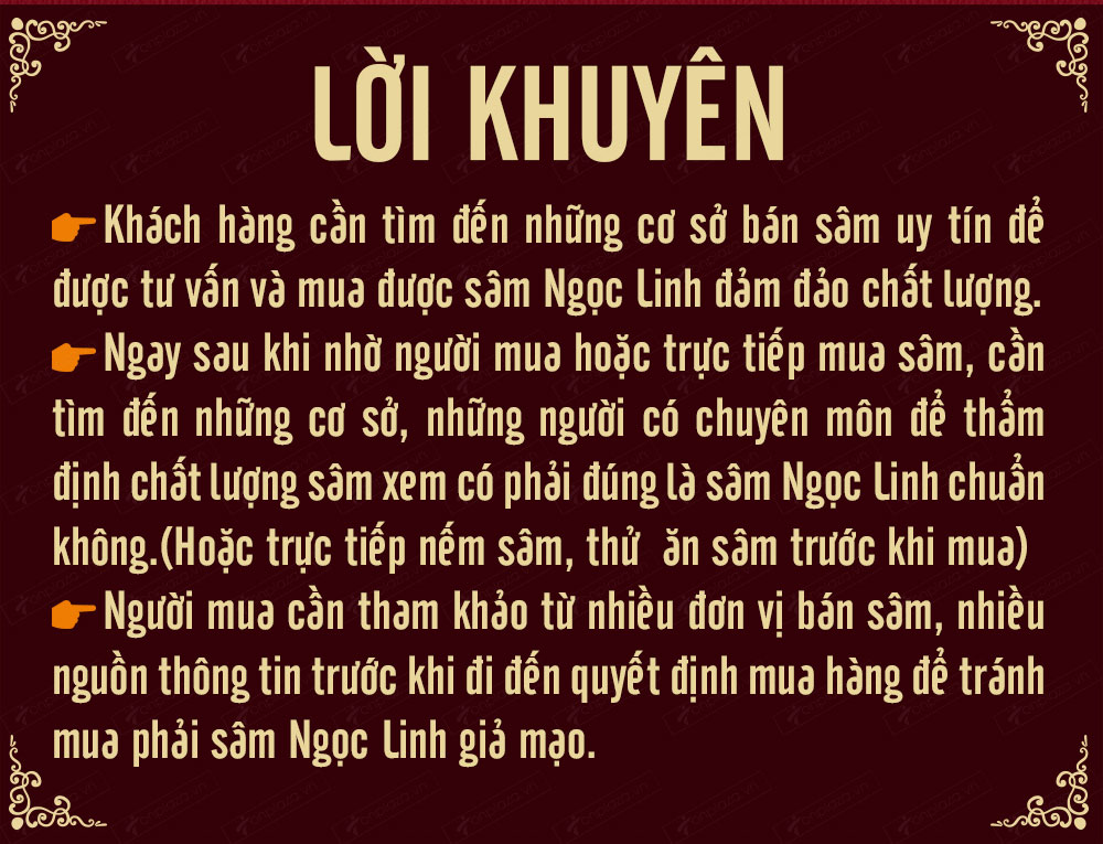Sâm ngọc linh núi chính hãng - thiên nhiên