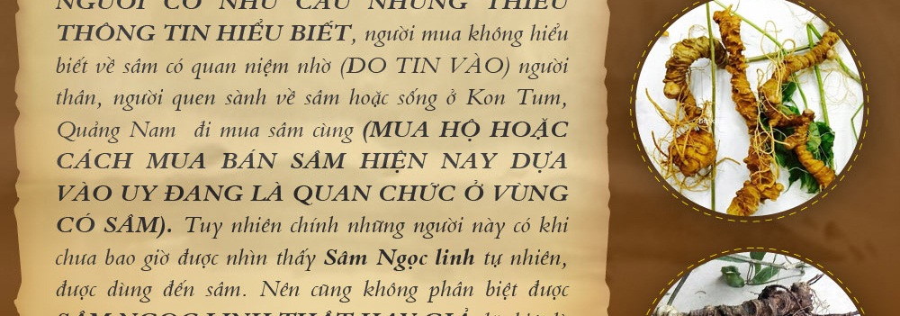 Cách phân biệt nhân sâm núi ngọc linh thật và giả