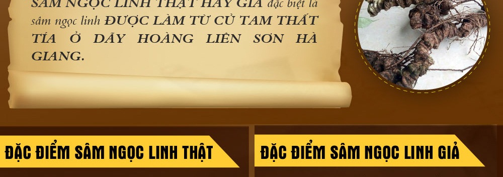 Cách phân biệt nhân sâm núi ngọc linh thật và giả