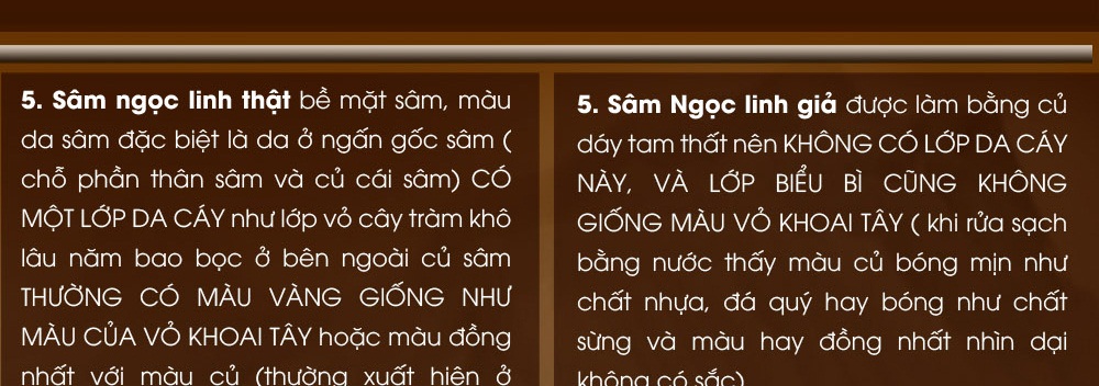 Cách phân biệt nhân sâm núi ngọc linh thật và giả